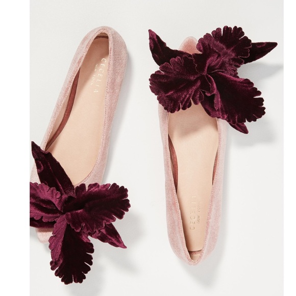 Cecilia New York Shoes - Cecilia New York Maria floral appliqué flats